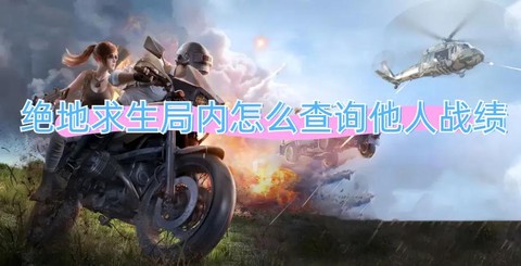 绝地求生怎么查战绩[图1]