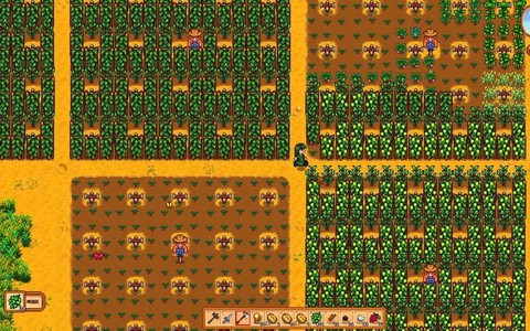 星露谷物语夏季种什么[图2]