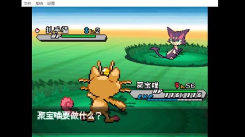 宝可梦怎么野外对战[图2]