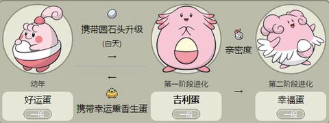 口袋妖怪白金怎么孵化蛋