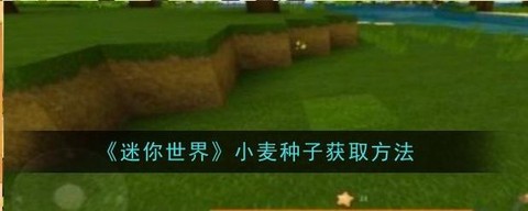 迷你世界如何找小麦[图1]