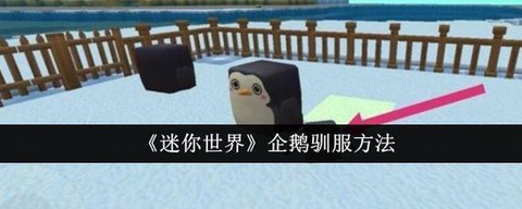 迷你世界怎么喂企鹅[图2]
