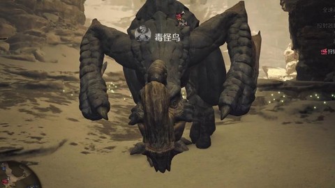 怪物猎人2g怪鸟怎么打