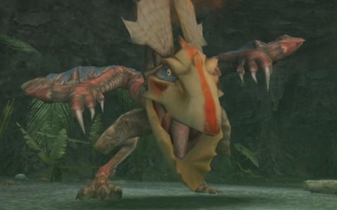 怪物猎人2g怪鸟怎么打[图2]